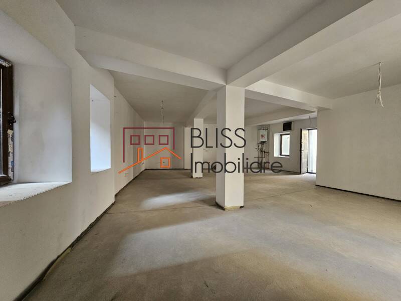 Villa for Sale KM 0 | Ultracentral, Bucharest - 6 Bedroom - ID:121346 | Bliss Imobiliare / Photo 6 - BLISS Imobiliare