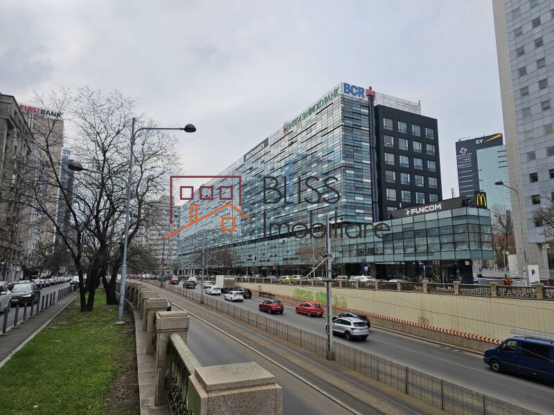 Office space for Rent Piata Victoriei, Bucharest - ID:121123 | Bliss Imobiliare / Photo 1 - BLISS Imobiliare