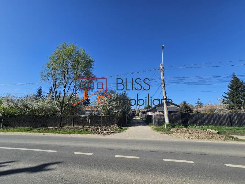 Photo 11 - BLISS Imobiliare