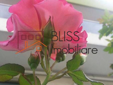 Photo 33 - BLISS Imobiliare