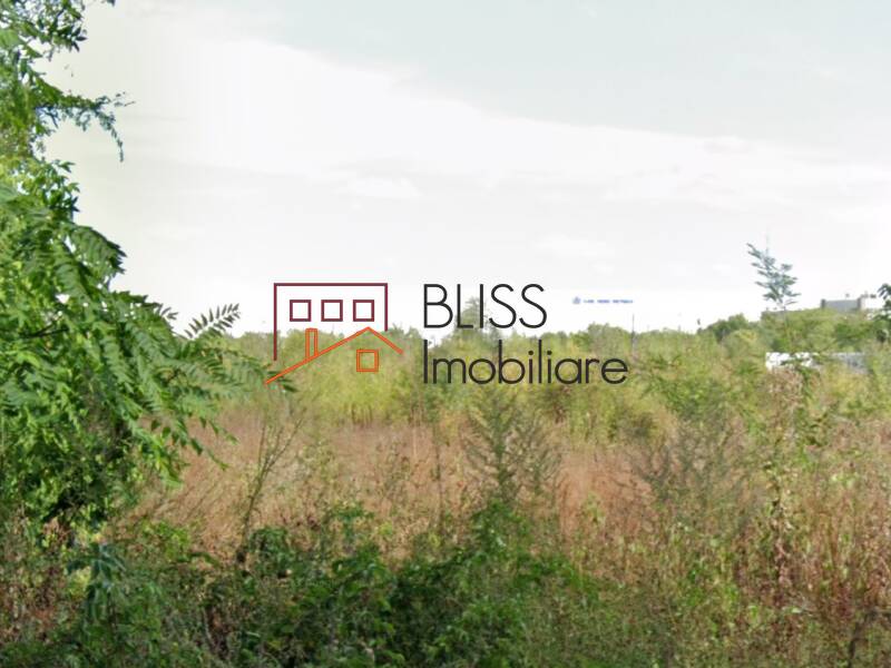 Photo 3 - BLISS Imobiliare