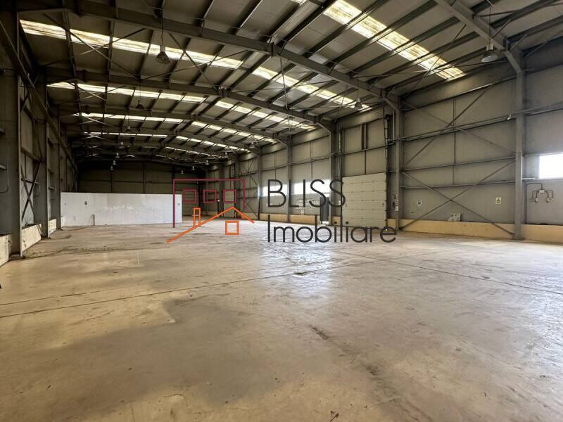 Spatiu Industrial / Logistica Premium In Otopeni | Bliss Imobiliare / Photo 14 - BLISS Imobiliare