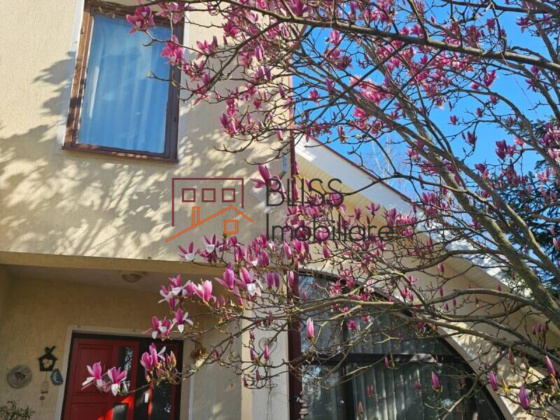 Casa 4 Camere Cu Gradina | Bliss Imobiliare / Photo 11 - BLISS Imobiliare