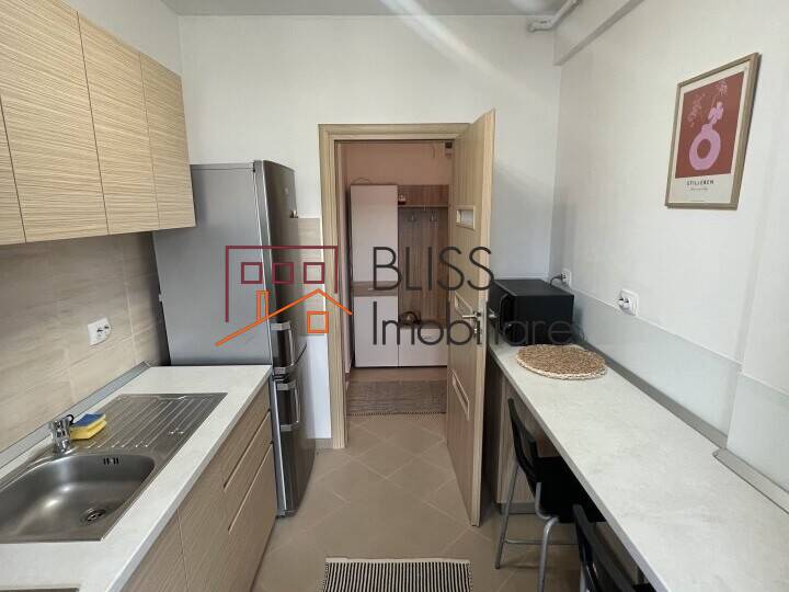 1 Bedroom Apartment With Terrace, Bucharest | Bliss Imobiliare / Photo 5 - BLISS Imobiliare