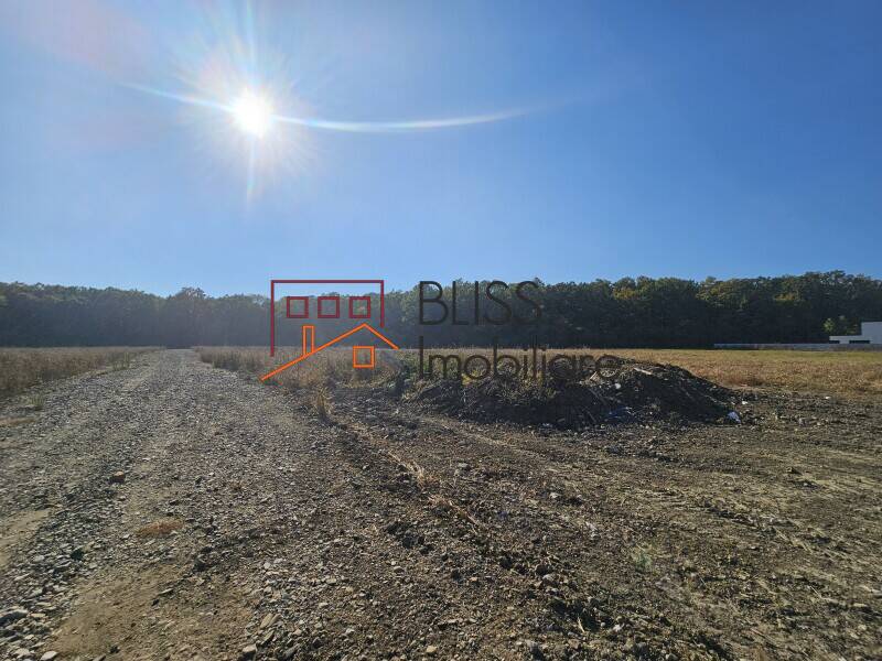 Photo 6 - BLISS Imobiliare