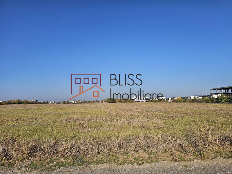 Photo 9 - BLISS Imobiliare
