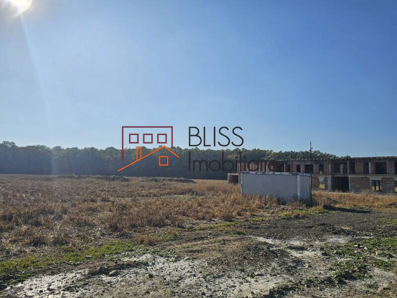 Photo 12 - BLISS Imobiliare