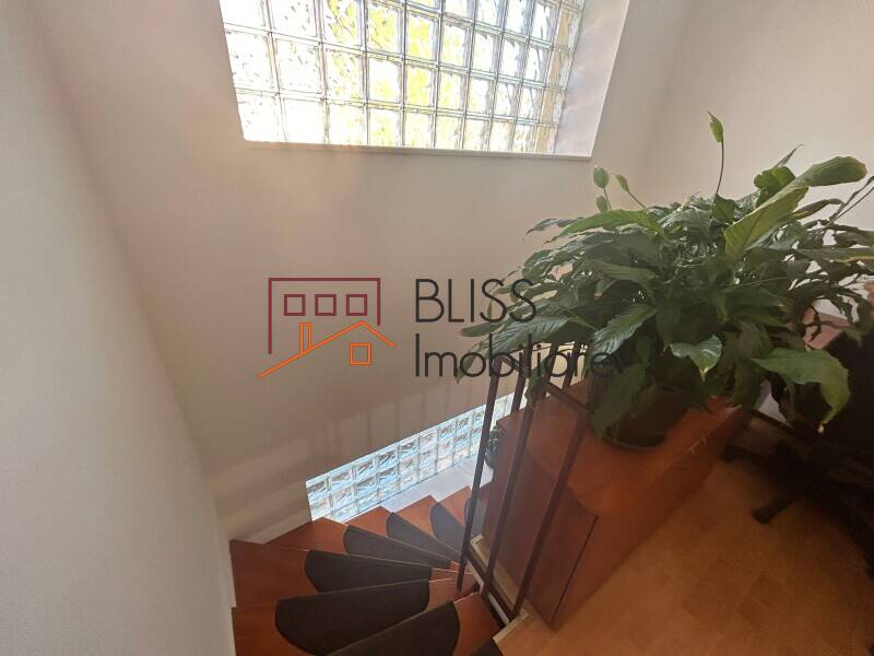 Vila Cu 5 Camere Si Gradina Pipera | Bliss Imobiliare / Photo 17 - BLISS Imobiliare