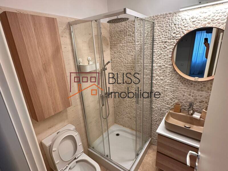 Apartament 3 Camere Cu Curte Privata Aviatiei | Bliss Imobiliare / Photo 10 - BLISS Imobiliare