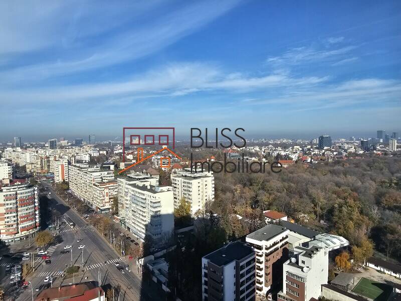 spațiu de birouri de Inchiriat Piata Victoriei - ID:124878 | Bliss Imobiliare / Photo 9 - BLISS Imobiliare