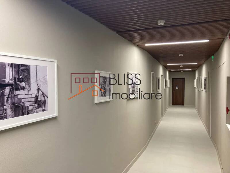 3-Bedroom Triplex Penthouse With Jacuzzi & Panoramic Terrace, Bucharest | Bliss Imobiliare / Photo 21 - BLISS Imobiliare