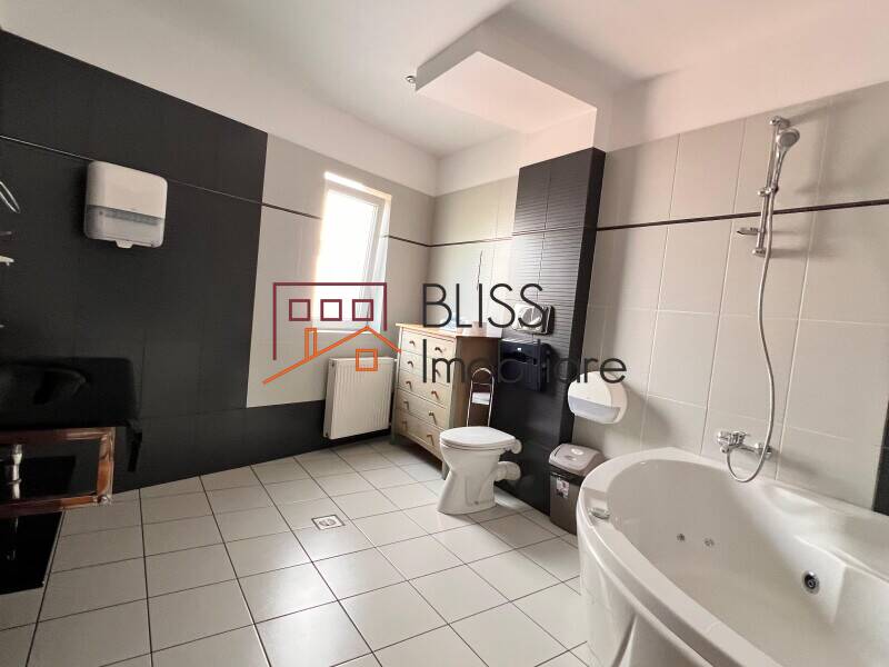 Duplex Penthouse 350 Sqm Herastrau – 4 Bedrooms, 5 Balconies, Bucharest | Bliss Imobiliare / Photo 21 - BLISS Imobiliare