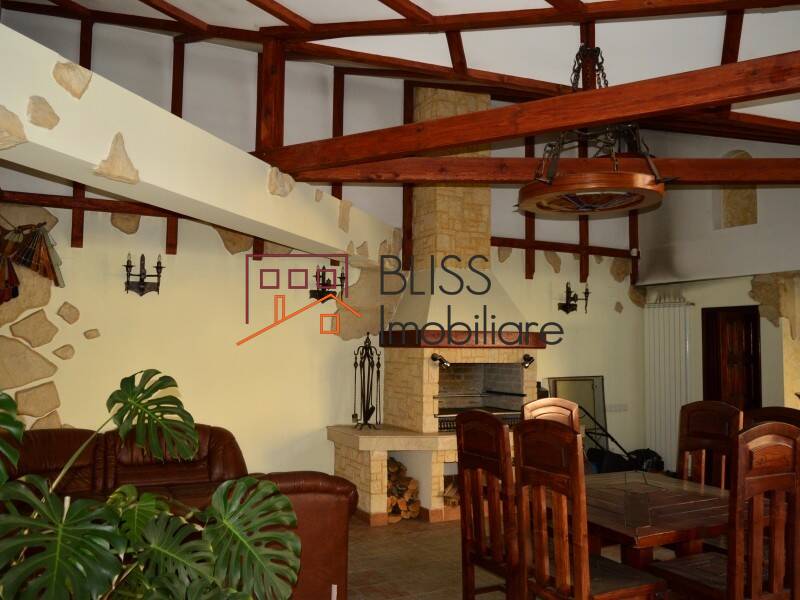 Villa for Rent KM 0 | Ultracentral, Bucharest - 5 Bedroom - ID:29430 | Bliss Imobiliare / Photo 27 - BLISS Imobiliare