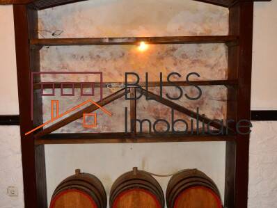 Vila de Inchiriat KM 0 | Ultracentral - 11 Camere - ID:29430 | Bliss Imobiliare / Photo 42 - BLISS Imobiliare