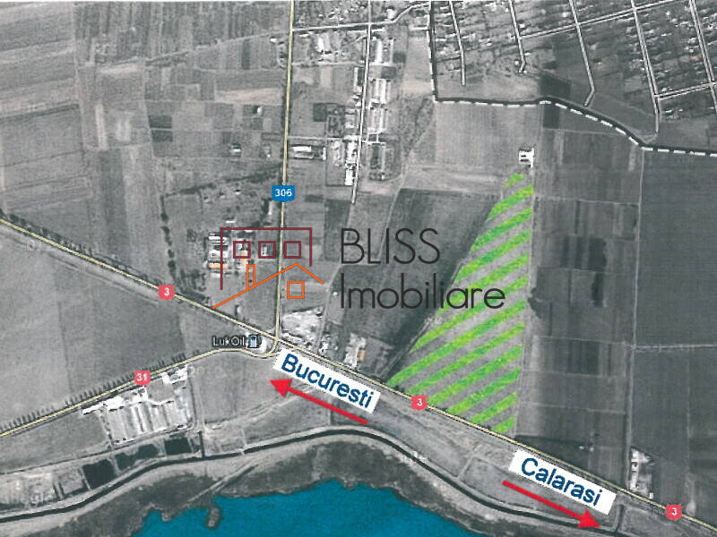 Photo 6 - BLISS Imobiliare