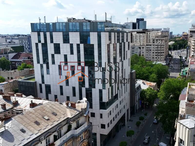 spațiu de birouri de Inchiriat Piata Victoriei - ID:142831 | Bliss Imobiliare / Photo 4 - BLISS Imobiliare