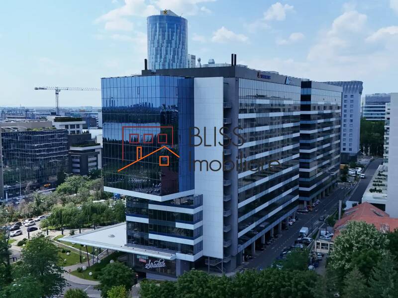 Office Space Equilibrium 1, Bucharest | Bliss Imobiliare / Photo 3 - BLISS Imobiliare