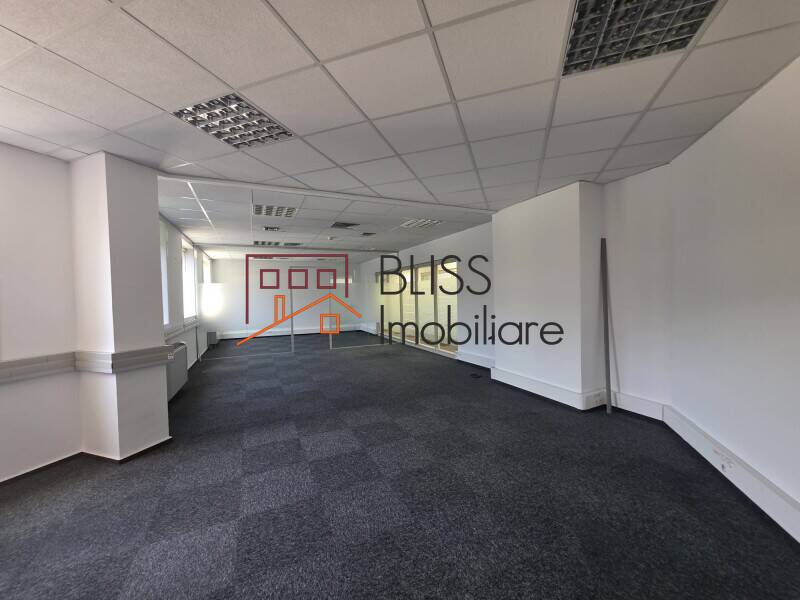 Office Space, Bucharest | Bliss Imobiliare / Photo 6 - BLISS Imobiliare