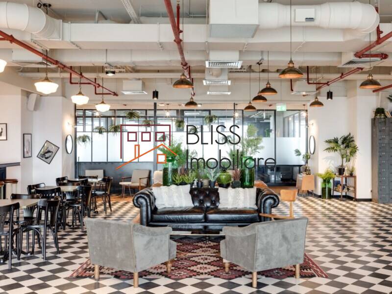 Spatiu De Birou All-inclusive | Bliss Imobiliare / Photo 3 - BLISS Imobiliare
