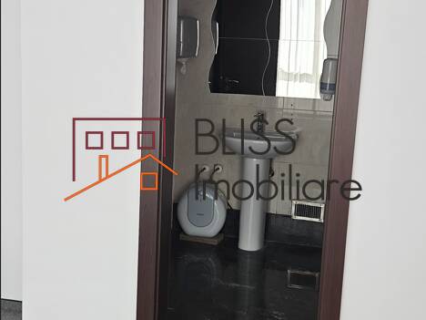 Office Space, Bucharest | Bliss Imobiliare / Photo 7 - BLISS Imobiliare