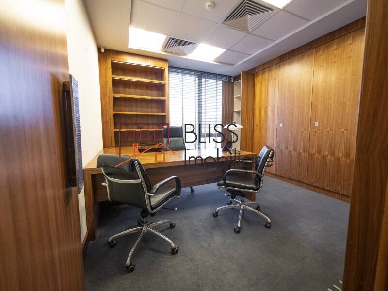 Office Space, Bucharest | Bliss Imobiliare / Photo 4 - BLISS Imobiliare