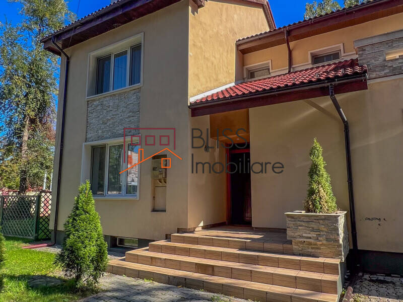 Vila Cu 7 Camere Iancu Nicolae Pipera | Bliss Imobiliare / Photo 69 - BLISS Imobiliare