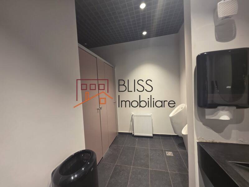 Office Space, Bucharest | Bliss Imobiliare / Photo 11 - BLISS Imobiliare