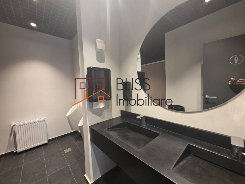 Office Space, Bucharest | Bliss Imobiliare / Photo 12 - BLISS Imobiliare