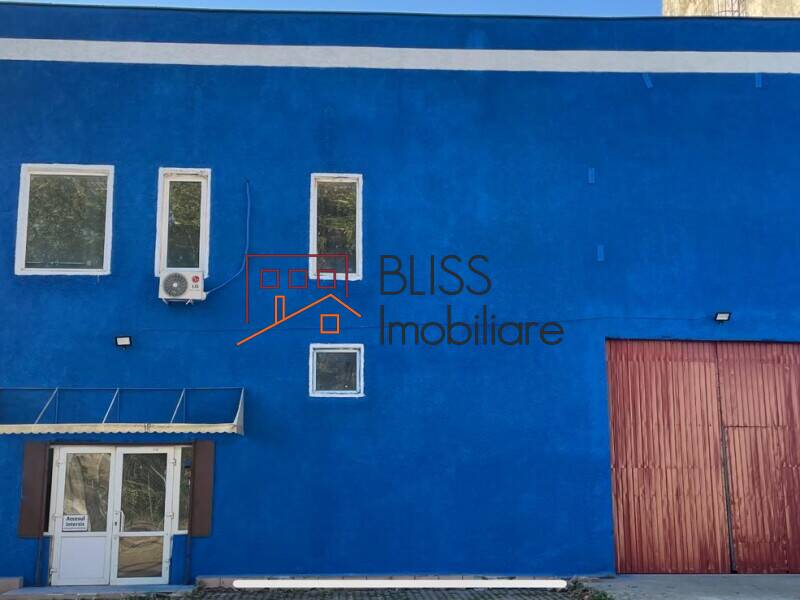 Warehouse/Industrial, Bucharest / Ilfov | Bliss Imobiliare / Photo 1 - BLISS Imobiliare