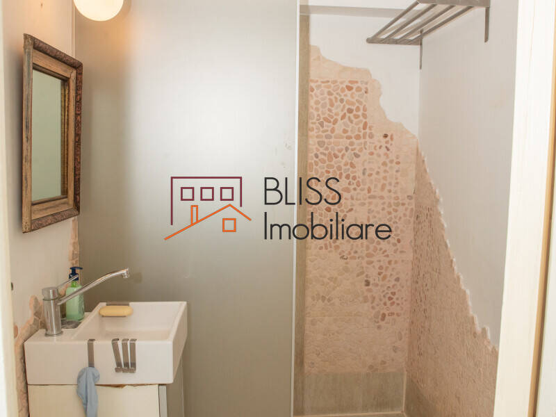 Apartament Artistic Cu 3 Camere In Piata Victoriei – Spatiu Creativ | Bliss Imobiliare / Photo 26 - BLISS Imobiliare