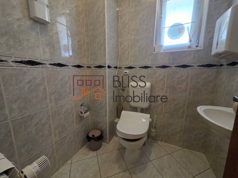 Villa 12 Camere Nordului Herastrau Rezidential Sau Comercial | Bliss Imobiliare / Photo 10 - BLISS Imobiliare