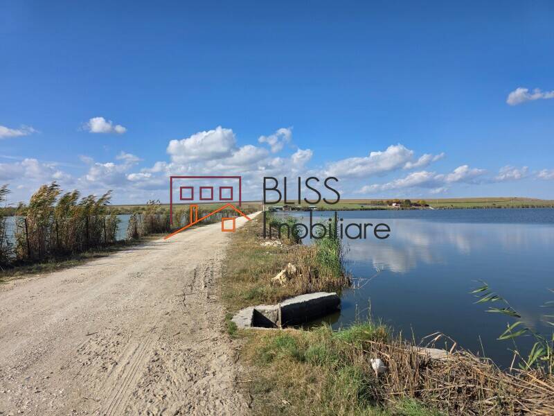 Photo 23 - BLISS Imobiliare