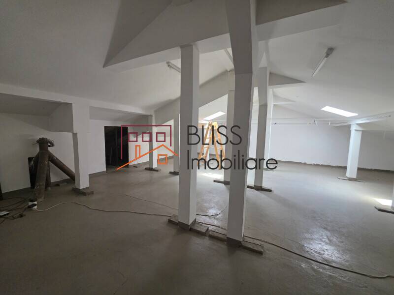 Villa for Sale Iancu Nicolae | Pipera, Bucharest / Ilfov - 9 Bedroom - ID:145506 | Bliss Imobiliare / Photo 18 - BLISS Imobiliare