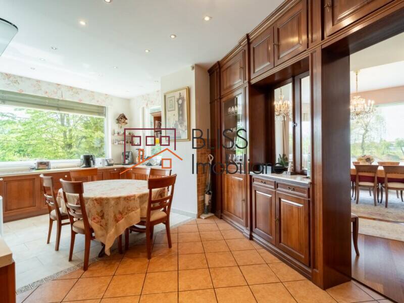 Lakeside Villa With Private Garden And Pool, Bucharest | Bliss Imobiliare / Photo 8 - BLISS Imobiliare