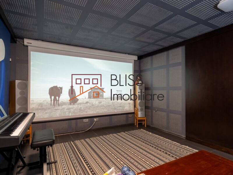 5-Bedroom Property With Four Independent Units, Bucharest / Ilfov | Bliss Imobiliare / Photo 15 - BLISS Imobiliare