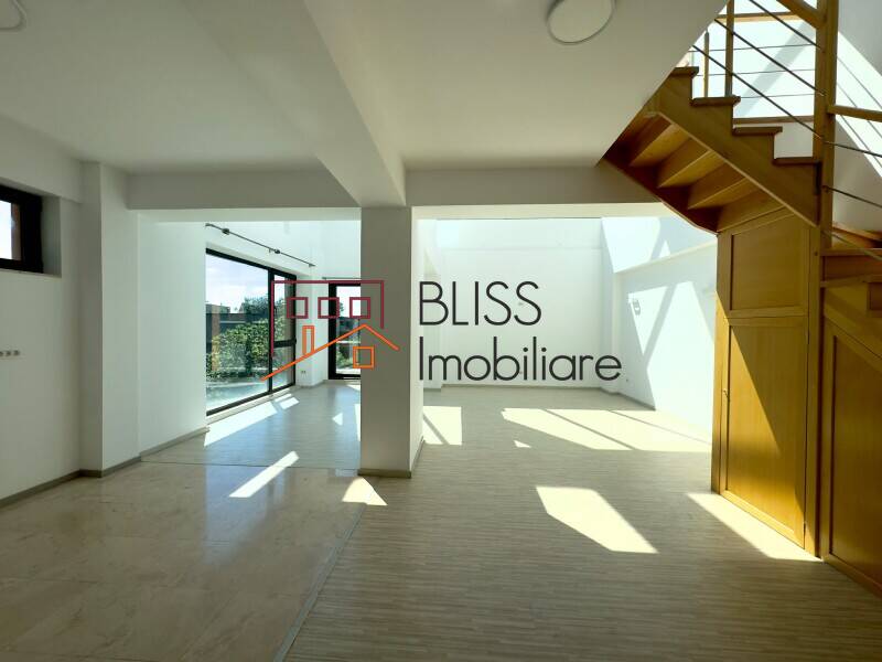 Duplex Office Space With Terrace And 3 Parking Spaces, Bucharest | Bliss Imobiliare / Photo 3 - BLISS Imobiliare