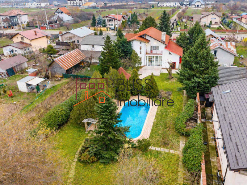 Vila 7 Camere Cu Piscina Si Teren Generos | Bliss Imobiliare / Photo 7 - BLISS Imobiliare