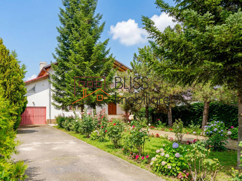 5-Bedroom Villa With Pool And Spacious Garden, Bucharest / Ilfov | Bliss Imobiliare / Photo 8 - BLISS Imobiliare
