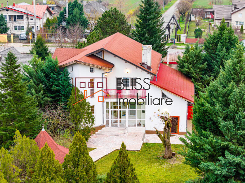 5-Bedroom Villa With Pool And Spacious Garden, Bucharest / Ilfov | Bliss Imobiliare / Photo 30 - BLISS Imobiliare