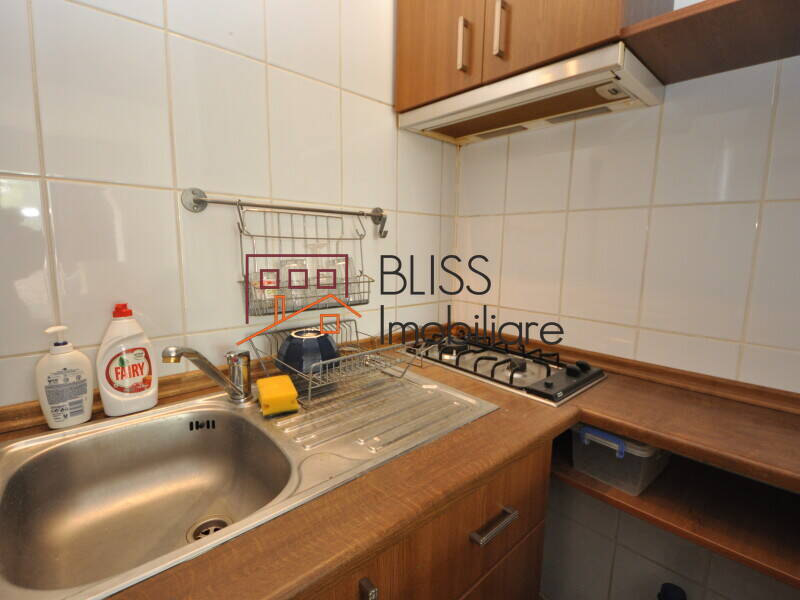 Studio Apartment In Blocul Liric – 28 Sqm, Cismigiu Park View, KM 0, Bucharest | Bliss Imobiliare / Photo 10 - BLISS Imobiliare