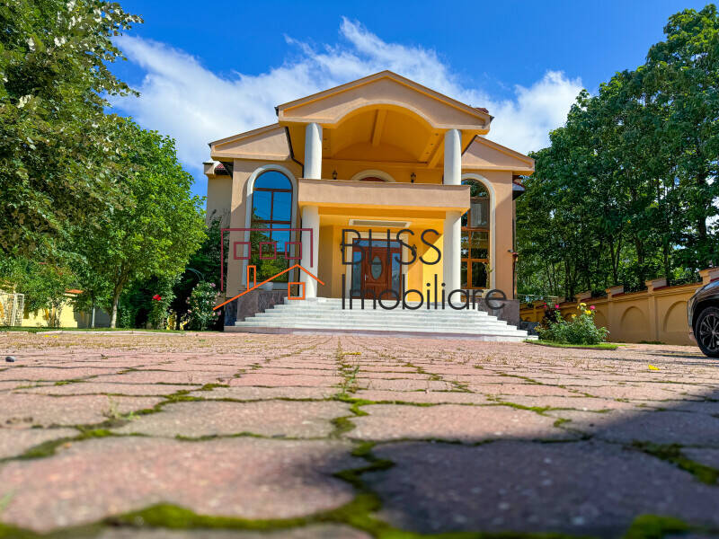 Victorian Manor Villa, 9 Bedrooms, Heated Indoor-outdoor Pools, Pipera, Bucharest / Ilfov | Bliss Imobiliare / Photo 9 - BLISS Imobiliare