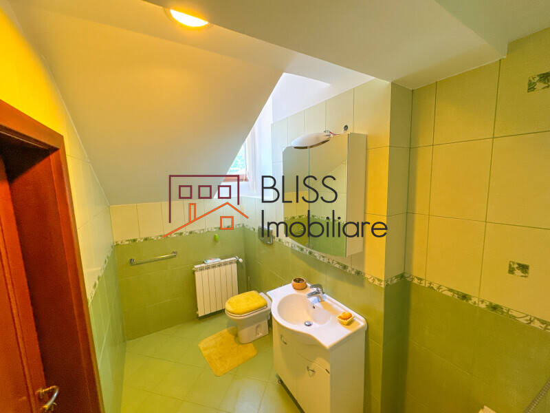 Victorian Manor Villa, 9 Bedrooms, Heated Indoor-outdoor Pools, Pipera, Bucharest / Ilfov | Bliss Imobiliare / Photo 43 - BLISS Imobiliare
