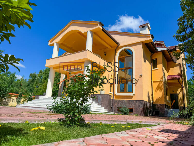Victorian Manor Villa, 9 Bedrooms, Heated Indoor-outdoor Pools, Pipera, Bucharest / Ilfov | Bliss Imobiliare / Photo 8 - BLISS Imobiliare