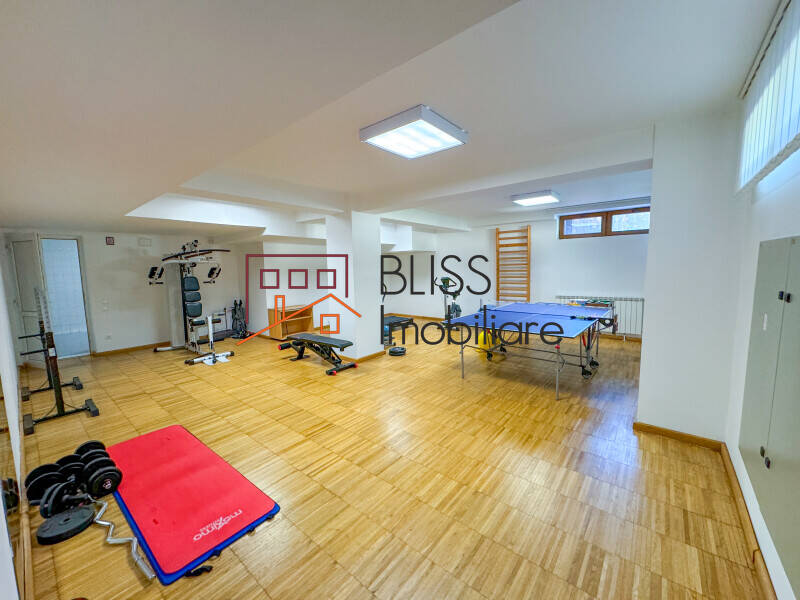 Victorian Manor Villa, 9 Bedrooms, Heated Indoor-outdoor Pools, Pipera, Bucharest / Ilfov | Bliss Imobiliare / Photo 49 - BLISS Imobiliare