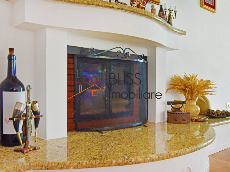 Vila Individuala Cu Gradina Pentru Familie Sau Business | Bliss Imobiliare / Photo 32 - BLISS Imobiliare