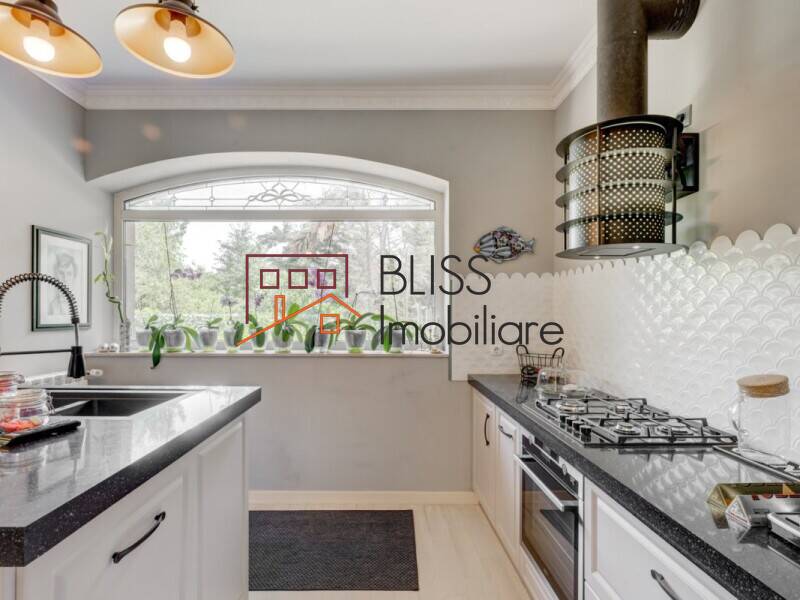 Premium 5-Bedroom Villa With Private Garden And Garage, Bucharest / Ilfov | Bliss Imobiliare / Photo 24 - BLISS Imobiliare
