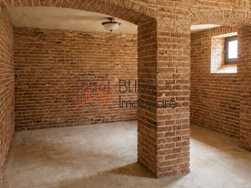 Commercial Space In A Villa With Courtyard And Garage, Bucharest | Bliss Imobiliare / Photo 4 - BLISS Imobiliare