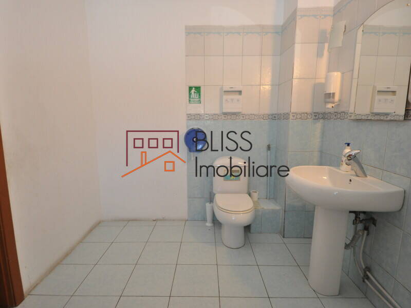 11-Room Villa Herastrau – 350 Sqm, Garden 280 Sqm, Renovated 2022, Bucharest | Bliss Imobiliare / Photo 40 - BLISS Imobiliare