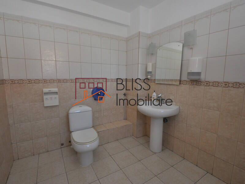 11-Room Villa Herastrau – 350 Sqm, Garden 280 Sqm, Renovated 2022, Bucharest | Bliss Imobiliare / Photo 23 - BLISS Imobiliare