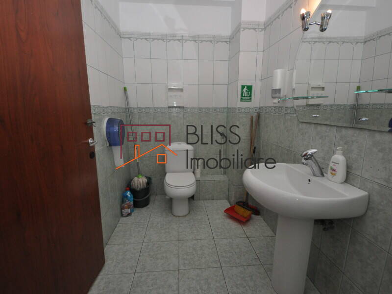 11-Room Villa Herastrau – 350 Sqm, Garden 280 Sqm, Renovated 2022, Bucharest | Bliss Imobiliare / Photo 13 - BLISS Imobiliare
